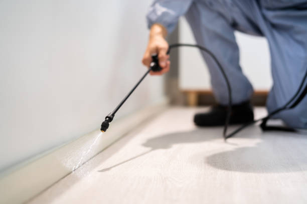 Licensed Fumigation Services service in Canton, NC - Nex Pest Control