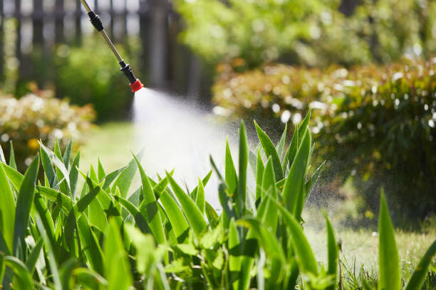 24/7 Emergency Fumigation Services experts in Canton, NC