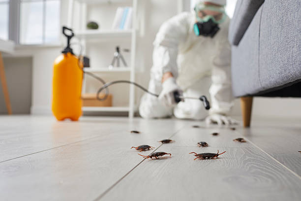 Trusted Fumigation Services service in Canton, NC - Nex Pest Control